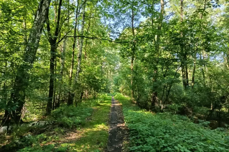 zdjęcie wyróżniające Głębokie Doły mogą zostać rezerwatem przyrody